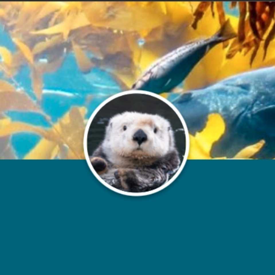 Aquarium Donation Form Leila